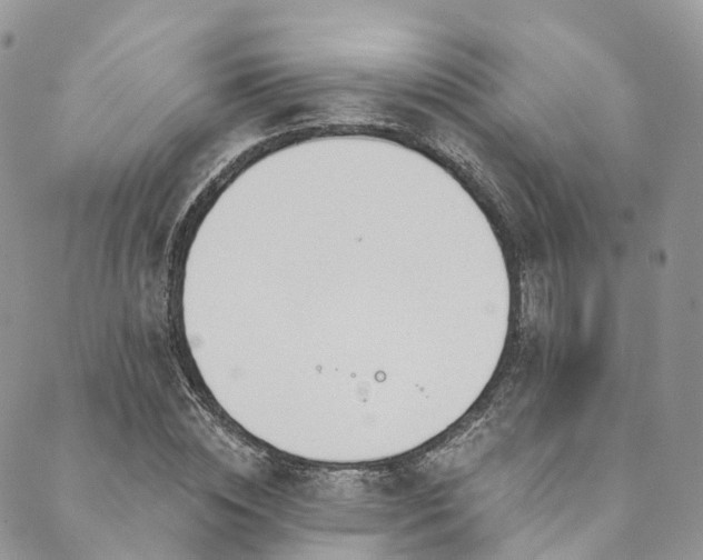X0000090460828200707131251