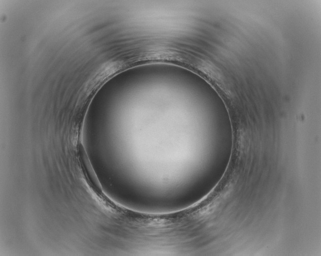 X0000090460841200707131251