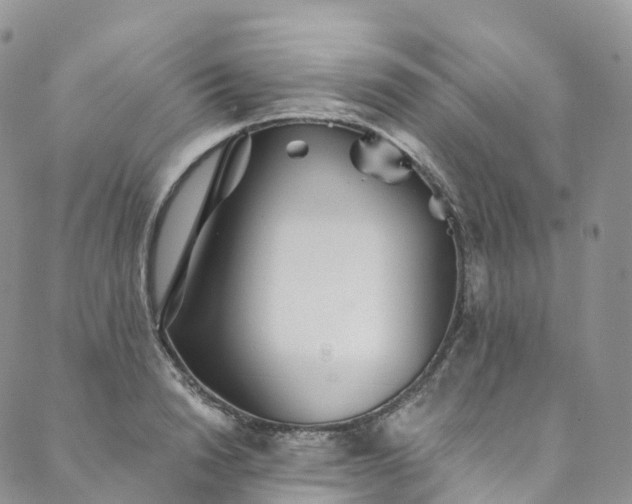 X0000090460846200707131251