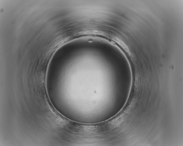 X0000090460849200707131251