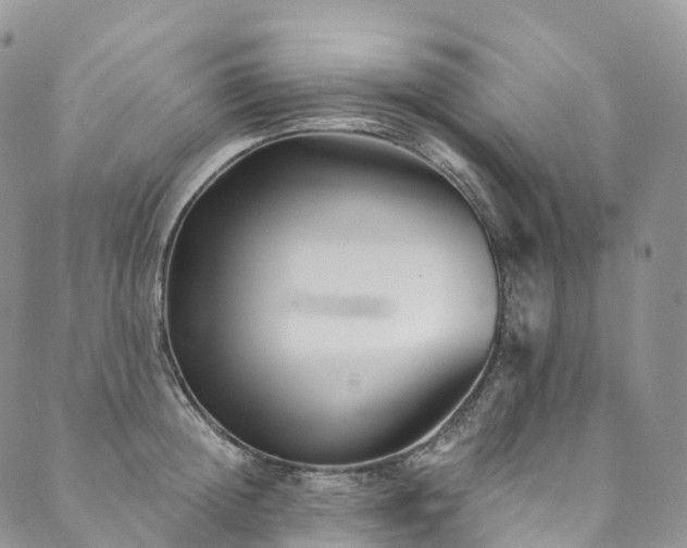 X0000090460852200707131251