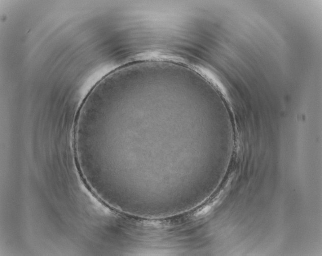 X0000090460855200707131251