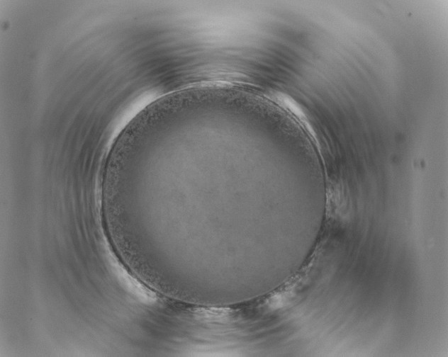 X0000090460859200707131252