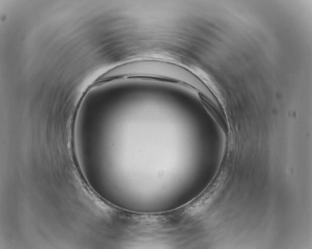 X0000090460862200707131252