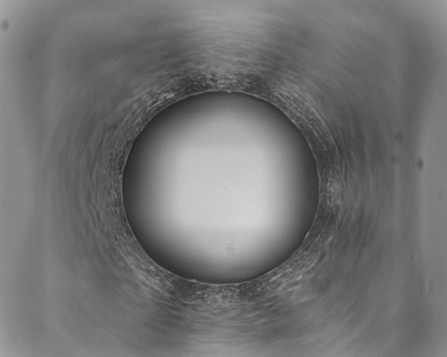 X0000090460865200707131251