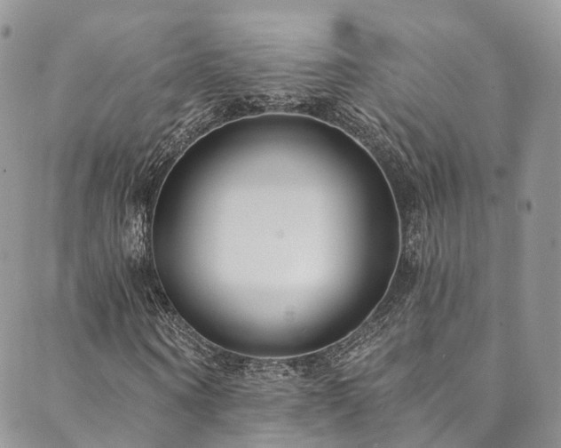 X0000090460866200707131251