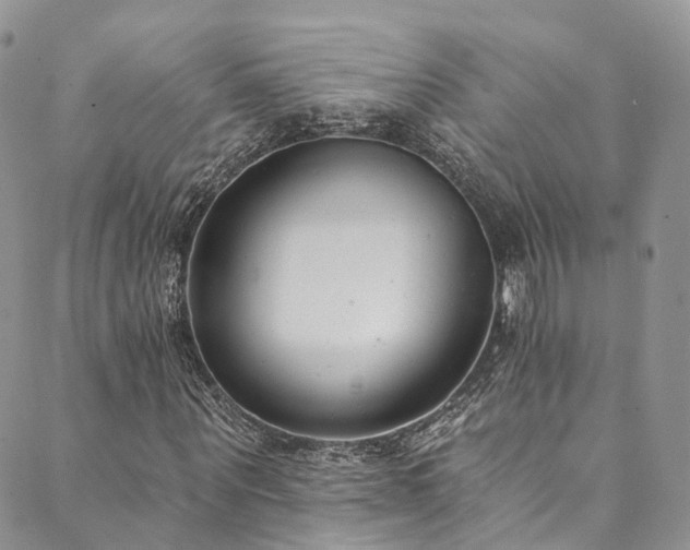 X0000090460867200707131251
