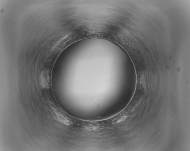 X0000090460868200707131251