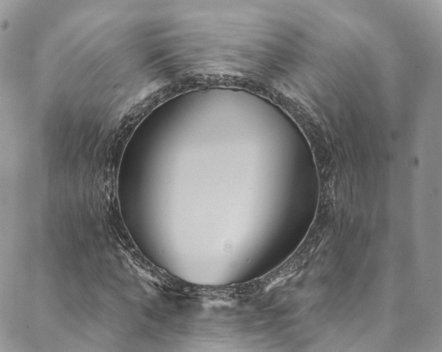 X0000090460870200707131251