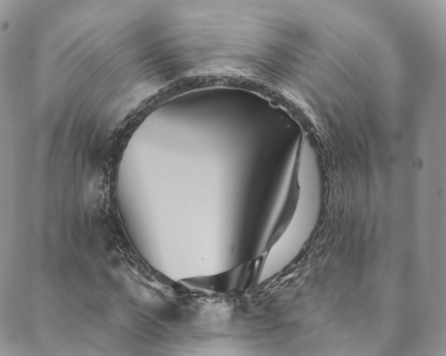 X0000090460872200707131251
