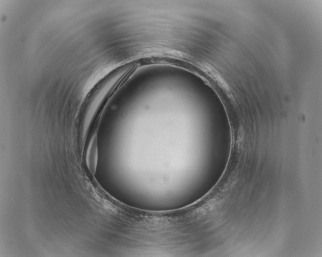 X0000090460877200707131251