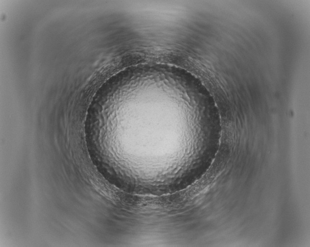 X0000090460913200707131249