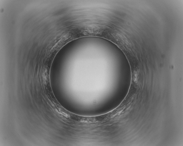 X0000090460915200707131249