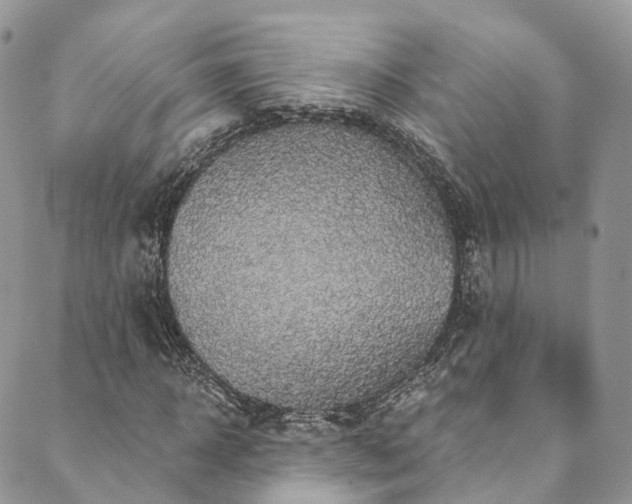 X0000090460918200707131249