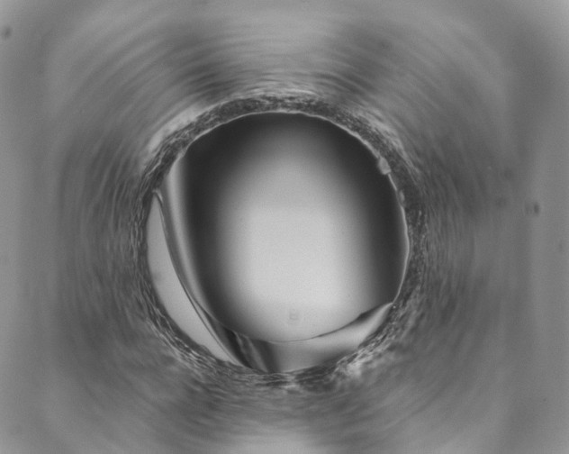 X0000090460920200707131249