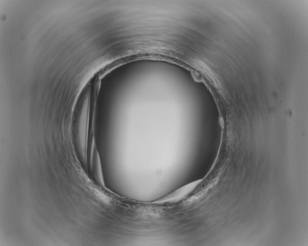 X0000090460924200707131249
