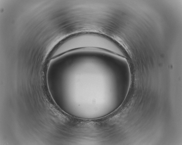 X0000090460926200707131249