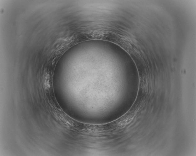 X0000090460962200707131249