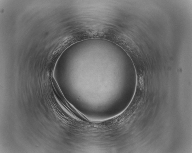 X0000090460963200707131249