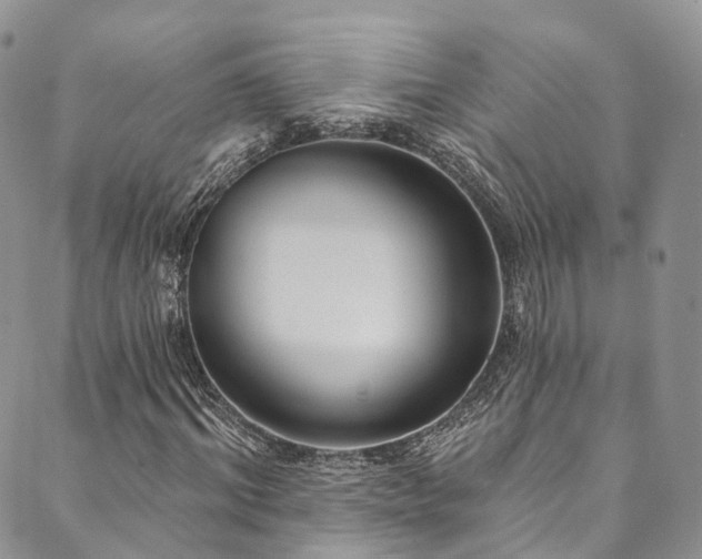 X0000090460964200707131249