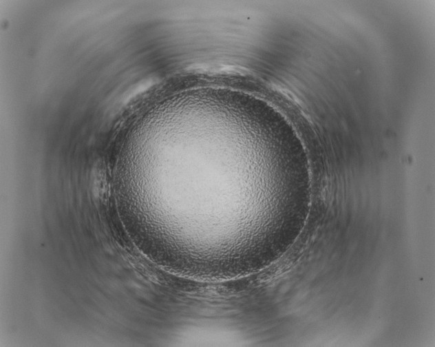 X0000090460966200707131249