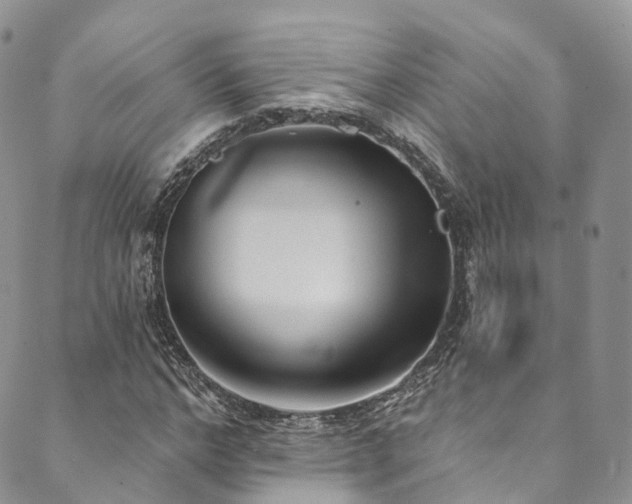 X0000090460968200707131249
