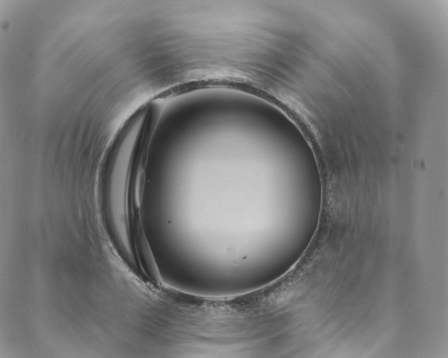 X0000090460983200707131249