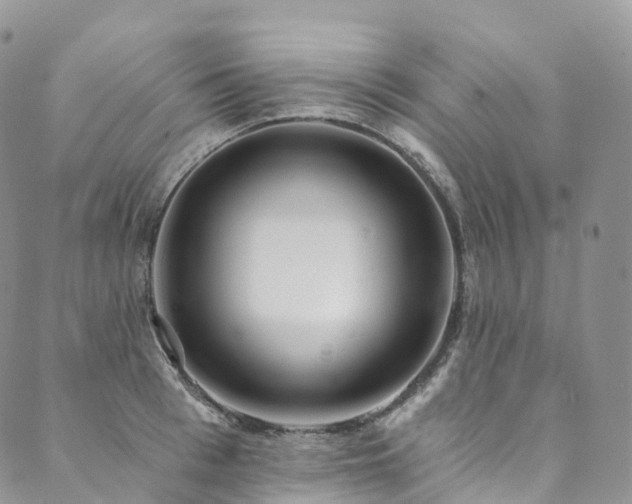 X0000090460993200707131249