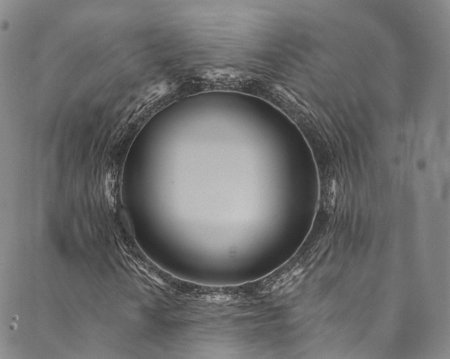 X0000090461010200707131248
