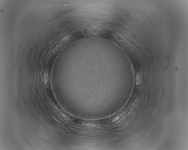 X0000090461011200707131248