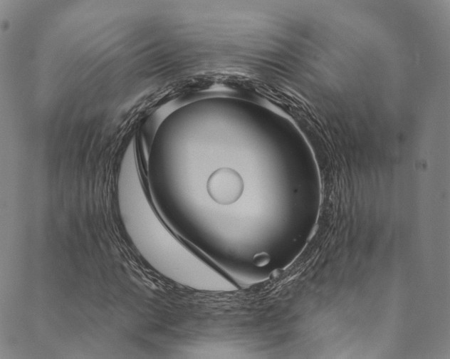 X0000090461014200707131248