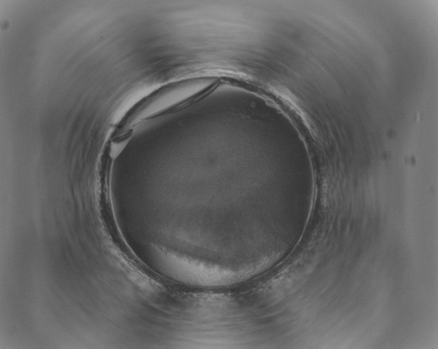 X0000090461024200707131248