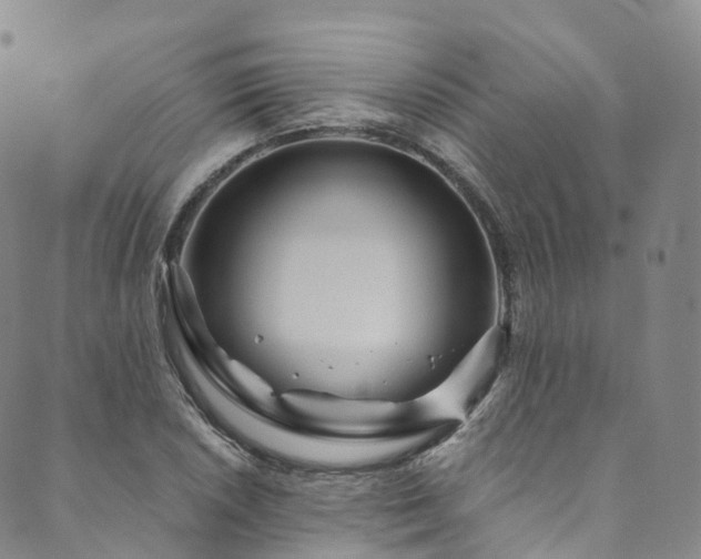X0000090461026200707131248