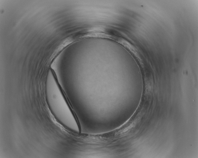 X0000090461049200707131248