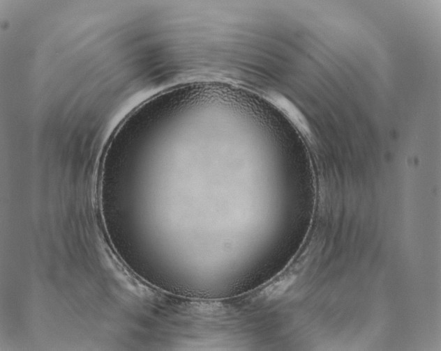 X0000090461052200707131248