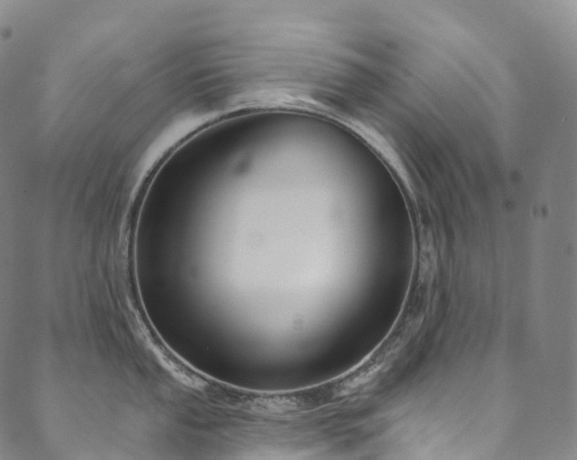 X0000090461053200707131248