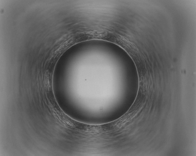 X0000090461058200707131248
