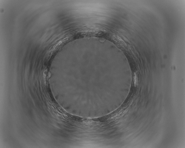 X0000090461059200707131248