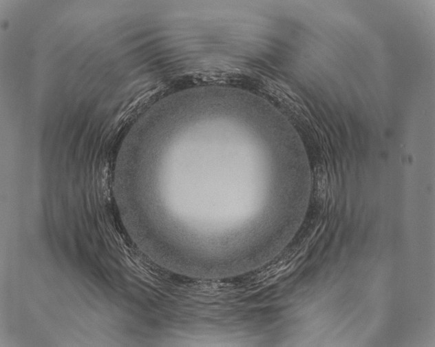 X0000090461060200707131248