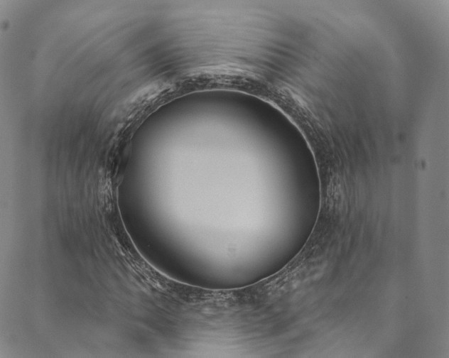 X0000090461062200707131248