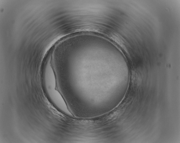 X0000090461068200707131248