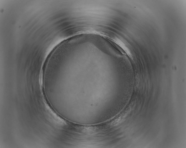 X0000090461084200707131247