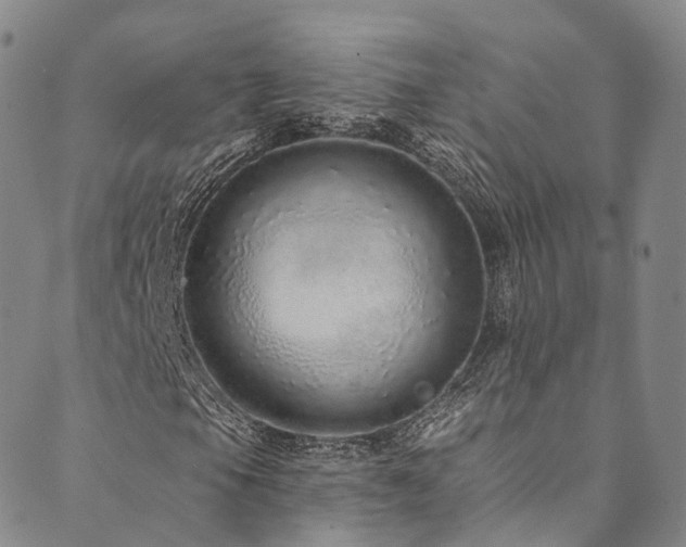 X0000090461105200707131246