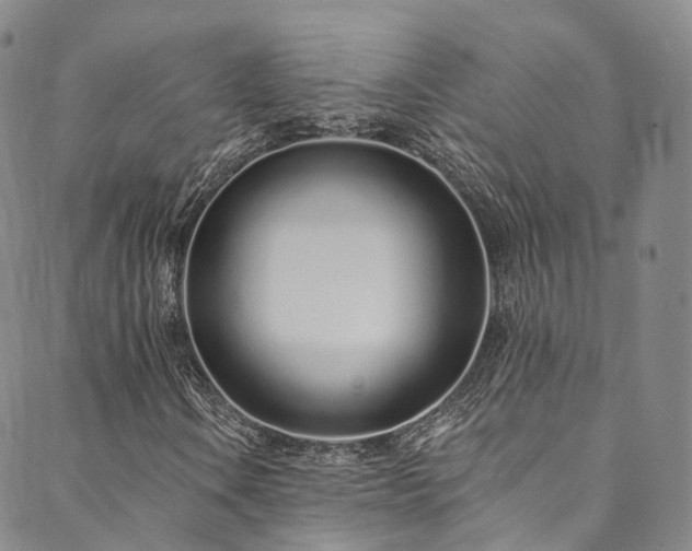 X0000090461106200707131246