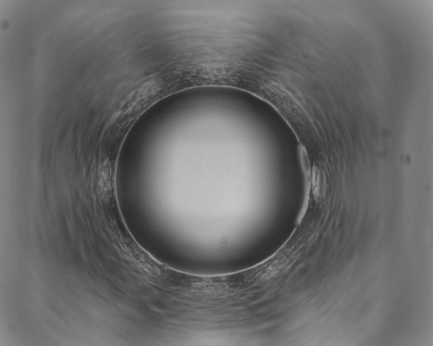 X0000090461107200707131246