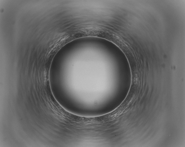 X0000090461108200707131246
