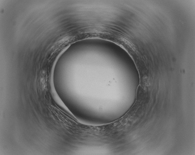 X0000090461111200707131246
