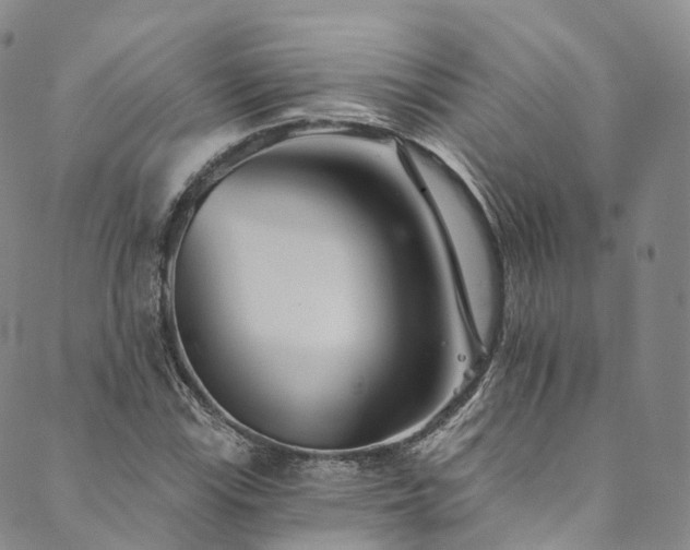 X0000090461115200707131246