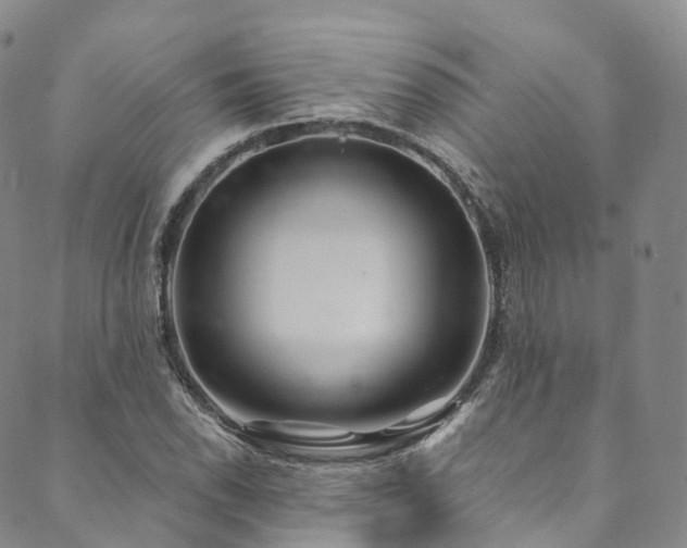X0000090461118200707131246