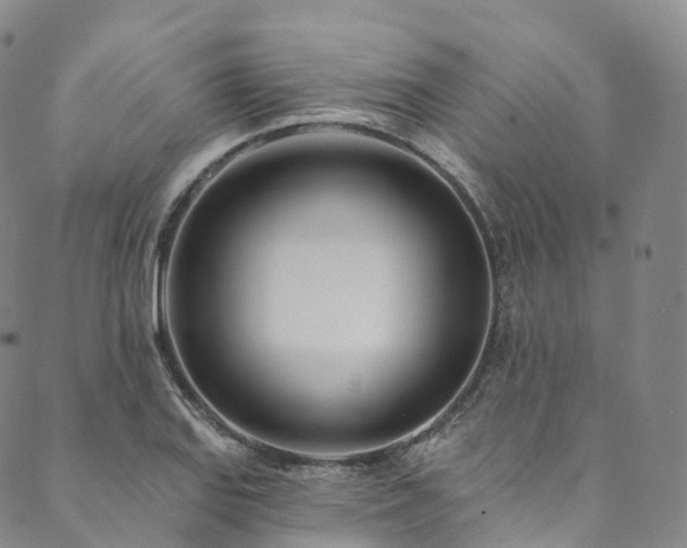 X0000090461127200707131247